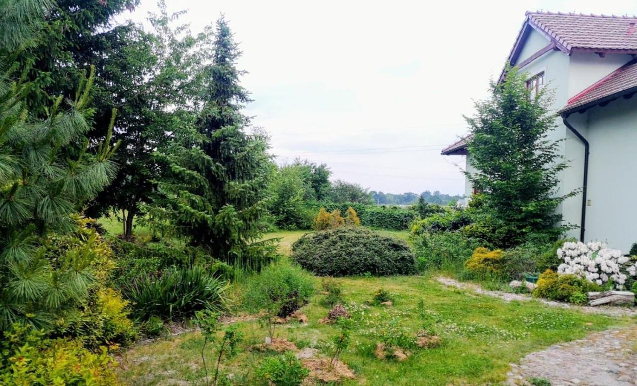 Apartamenty Zielona Gora المظهر الخارجي الصورة